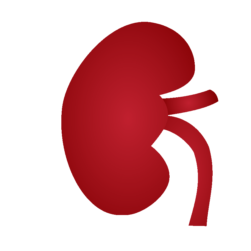 Urology